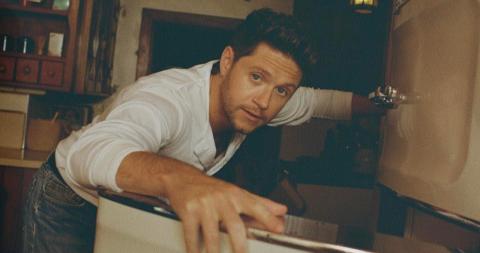 Niall Horan Dinner Party